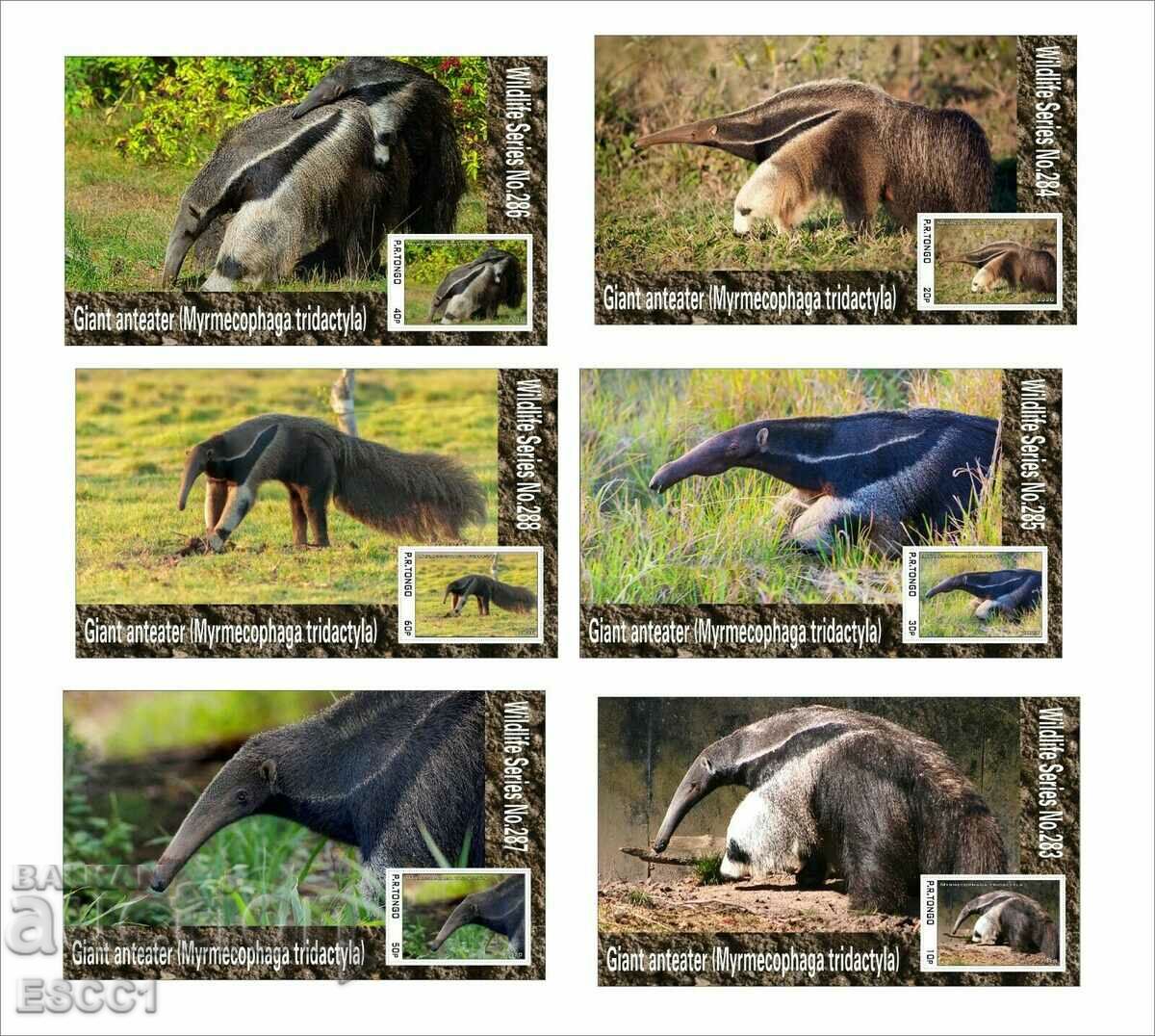 Clean Blocks Fauna Giant Anteater 2020 din Tongo