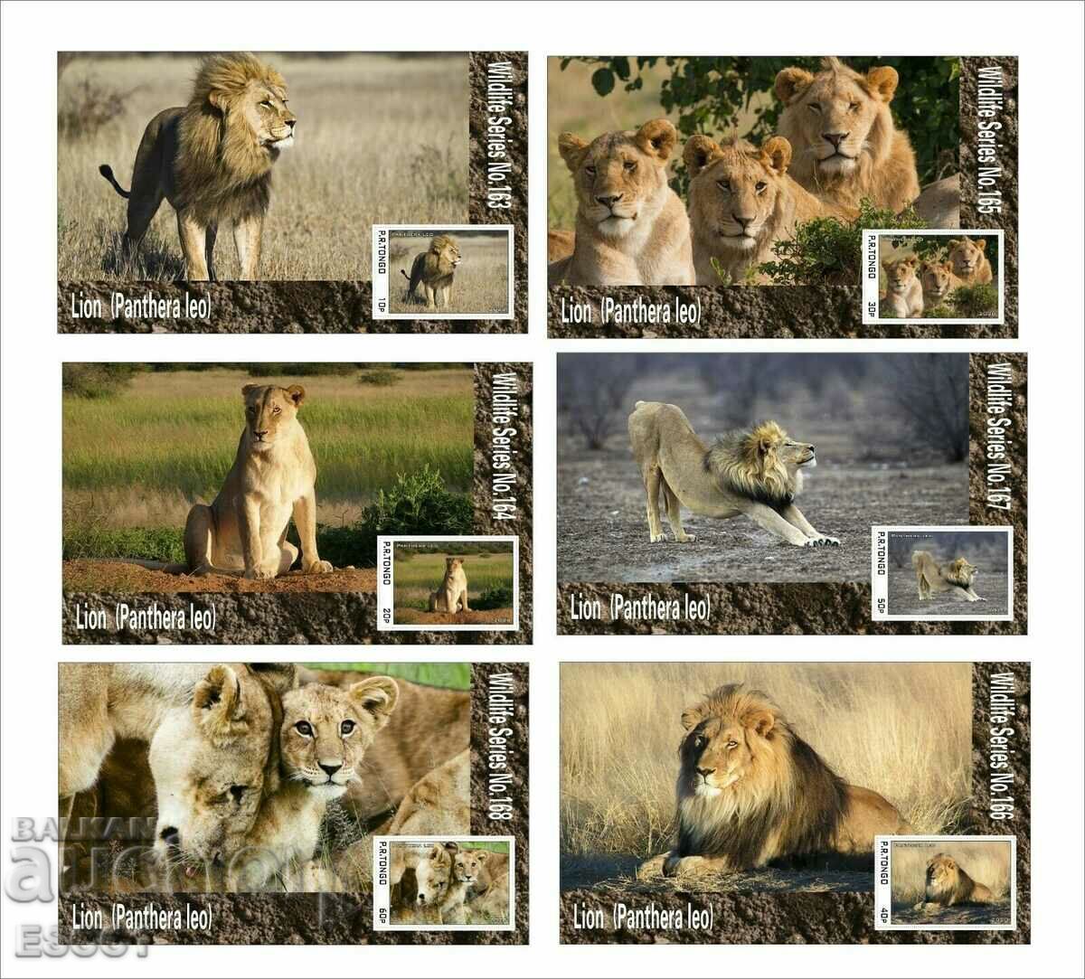 Чисти блокове Фауна Лъвове 2020 от Тонго