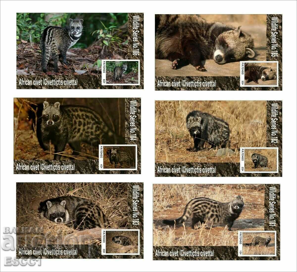 Clean Blocks Fauna African Civet 2020 din Tongo