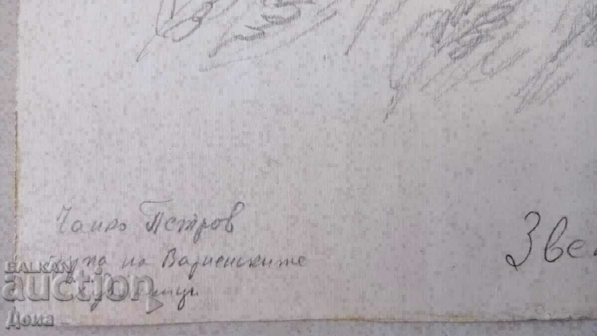 Chanko Petrov drawing - 5