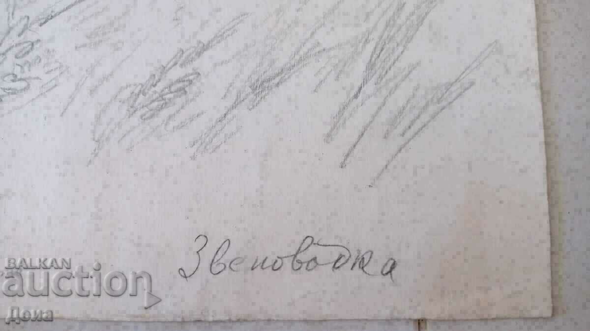 Chanko Petrov drawing - 6 Chanko Petrov drawing - 6