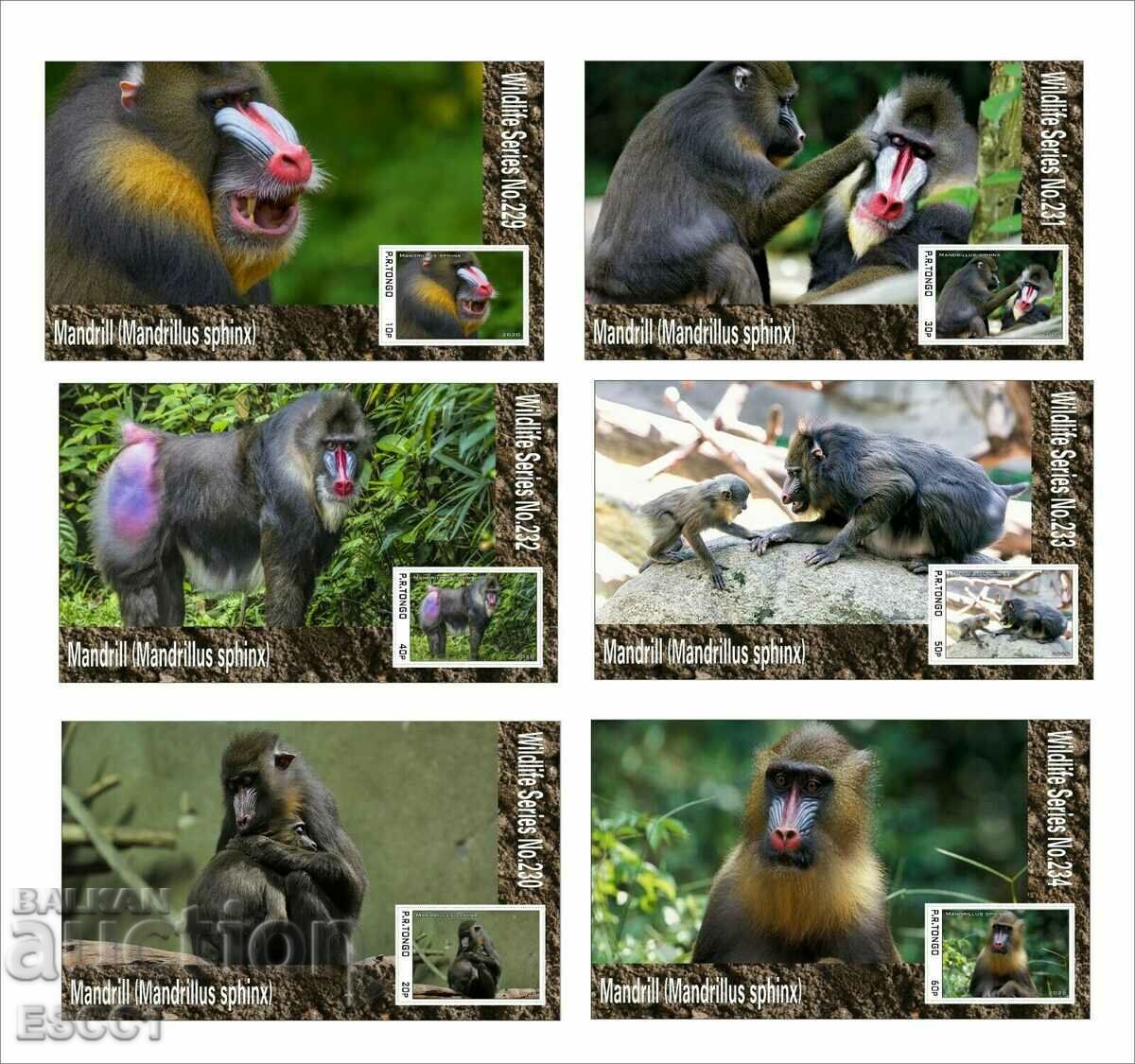 Чисти блокове Фауна Маймуни Мандрили  2020 от Тонго