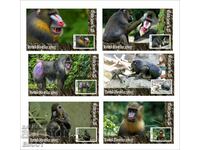 Blocuri curate Fauna Monkeys Mandrills 2020 din Tongo
