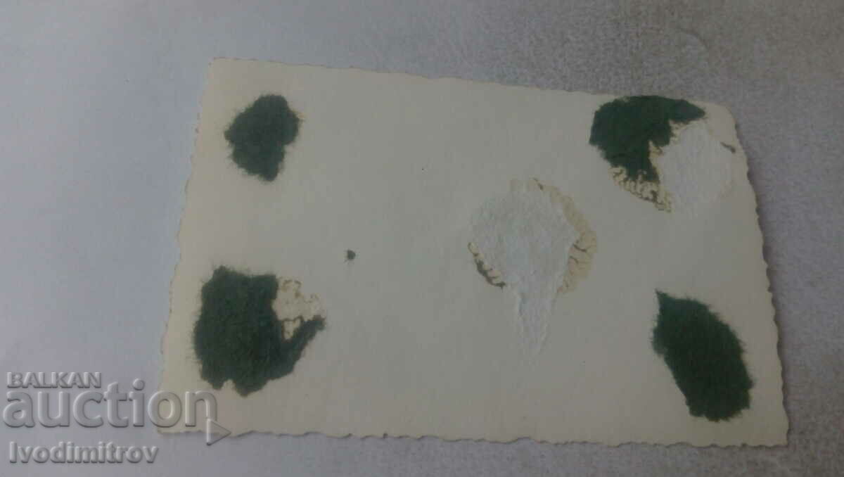 Photo Boys and girls on the lawn with price 1.35 BGN | € 0.69 Photo Boys and girls on the lawn with price 1.35 BGN | € 0.69