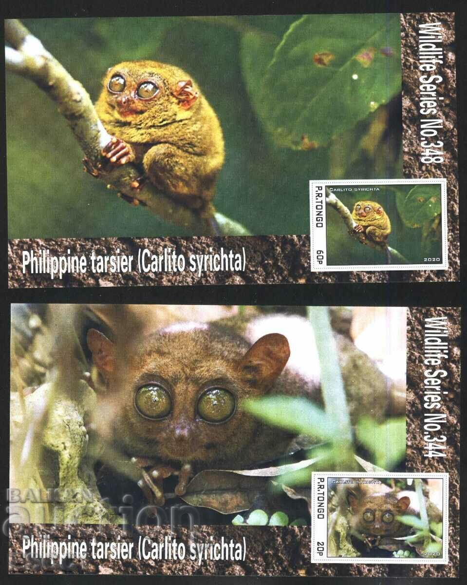 Clean Blocks Fauna Tarsier Philippine Longfoot 2020 Tongo with price 32.00 BGN | € 16.36 Clean Blocks Fauna Tarsier Philippine Longfoot 2020 Tongo with price 32.00 BGN | € 16.36