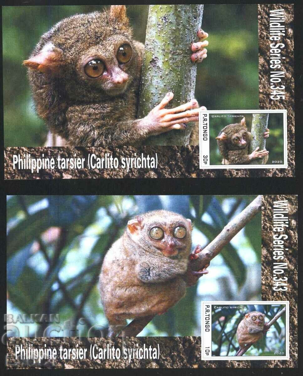Auction Clean Blocks Fauna Tarsier Philippine Longfoot 2020 Tongo Auction Clean Blocks Fauna Tarsier Philippine Longfoot 2020 Tongo