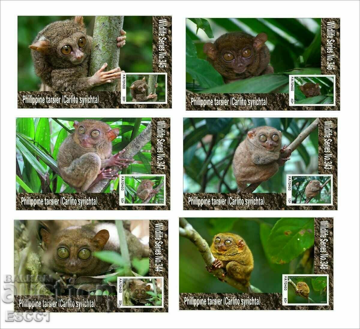 Clean Blocks Fauna Tarsier Philippine Longfoot 2020 Tongo