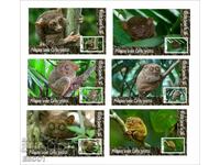 Clean Blocks Fauna Tarsier Philippine Longfoot 2020 Tongo