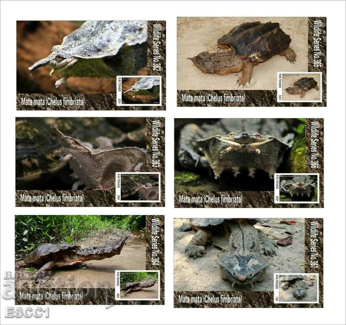 Чисти блокове Фауна Костенурки Мата Мата  2020 от Тонго