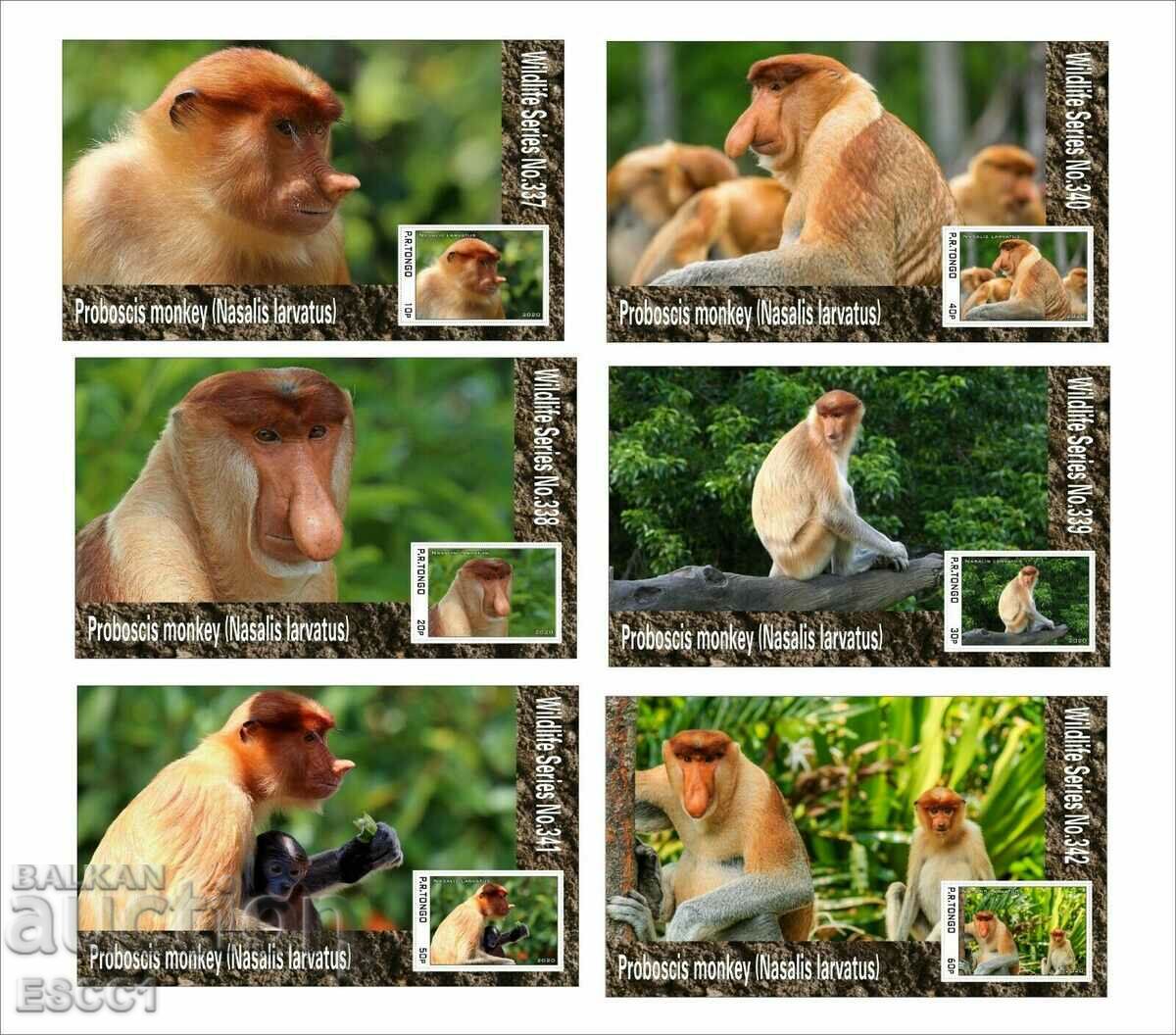 Clean Blocks Fauna Long-nosed Monkey 2020 από το Τόνγκο
