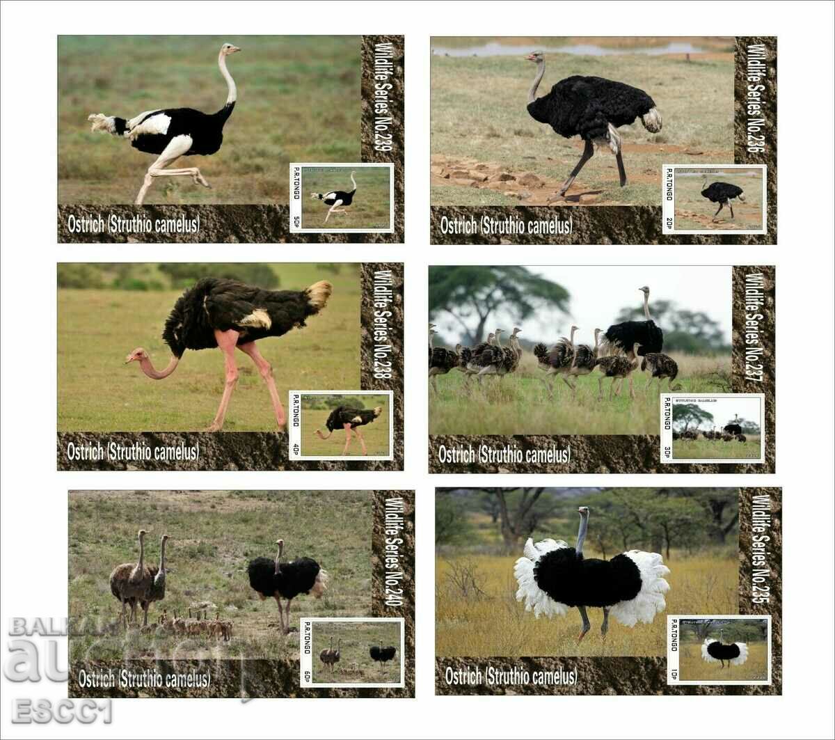 Чисти блокове Фауна Птици Щрауси  2020 от Тонго