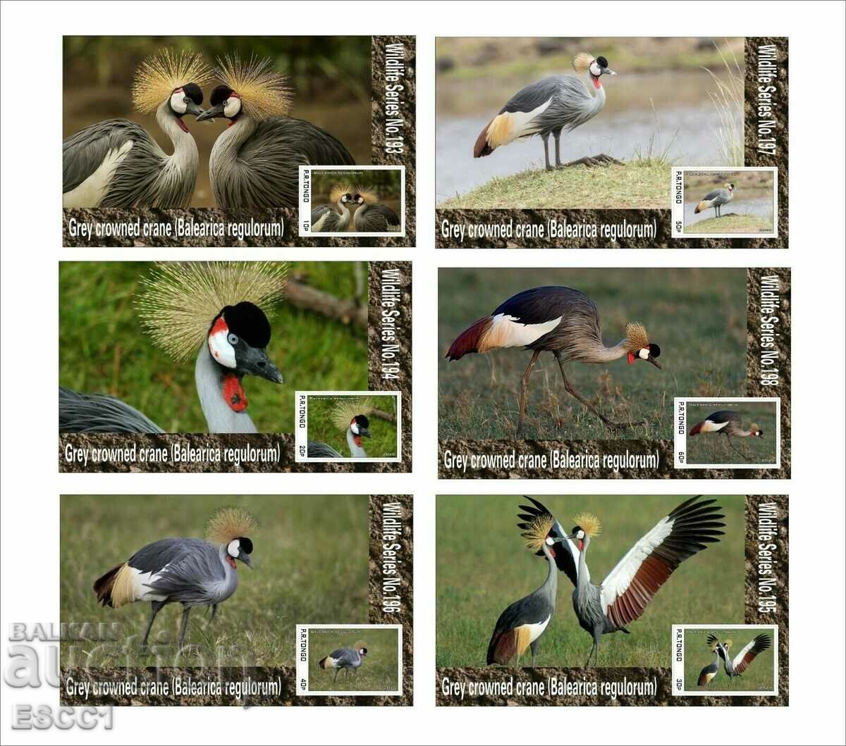Clean Blocks Fauna Birds Grey Crowned Crane 2020 din Tongo