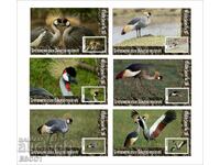 Clean Blocks Fauna Birds Grey Crowned Crane 2020 din Tongo