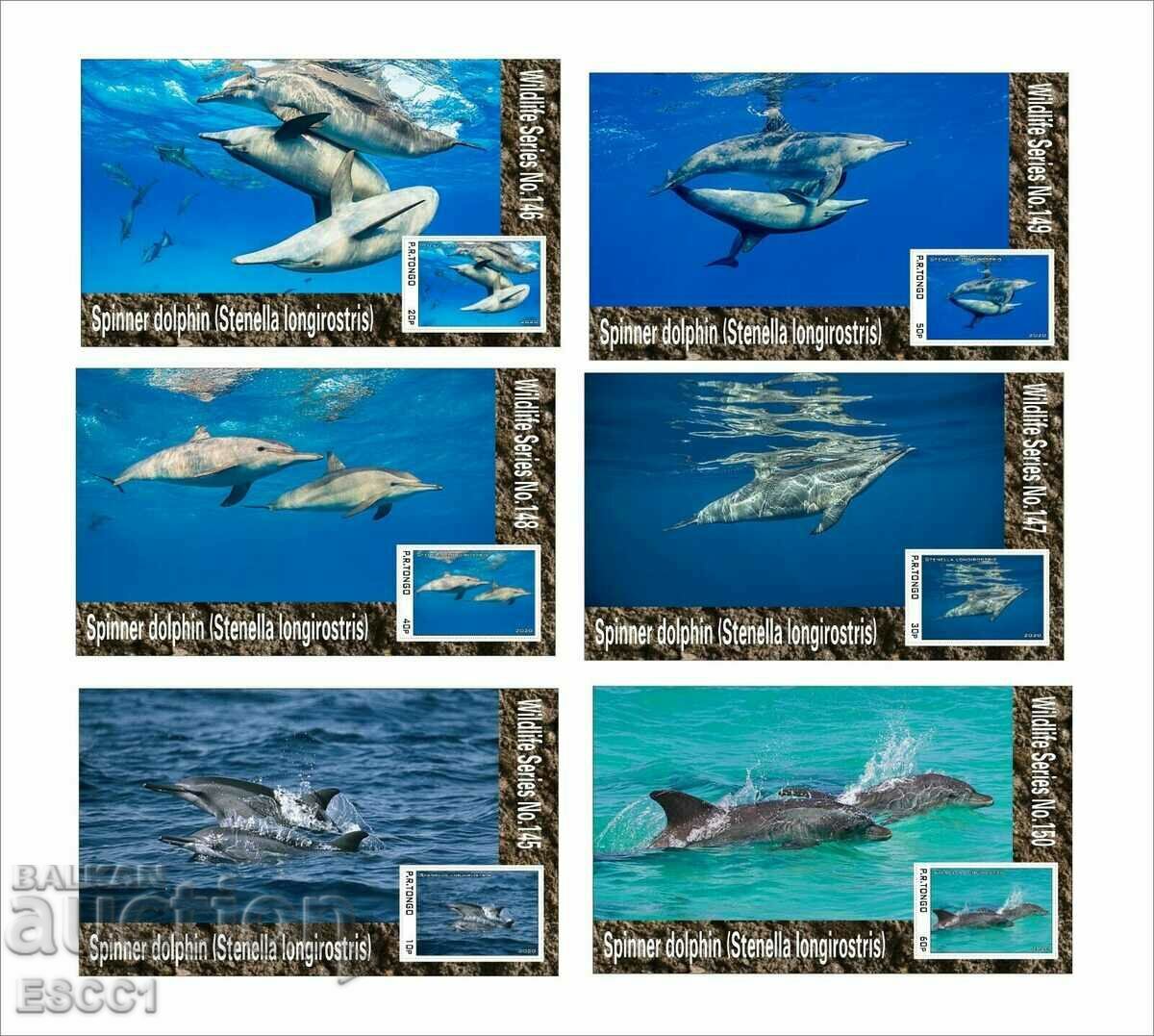 Clean blocks Fauna Dolphins Long-beaked bottlenose dolphin 2020 από το Τόνγκο