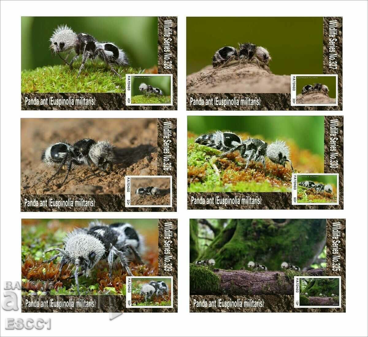 Чисти блокове Фауна  Насекоми Мравка панда 2020 от Тонго
