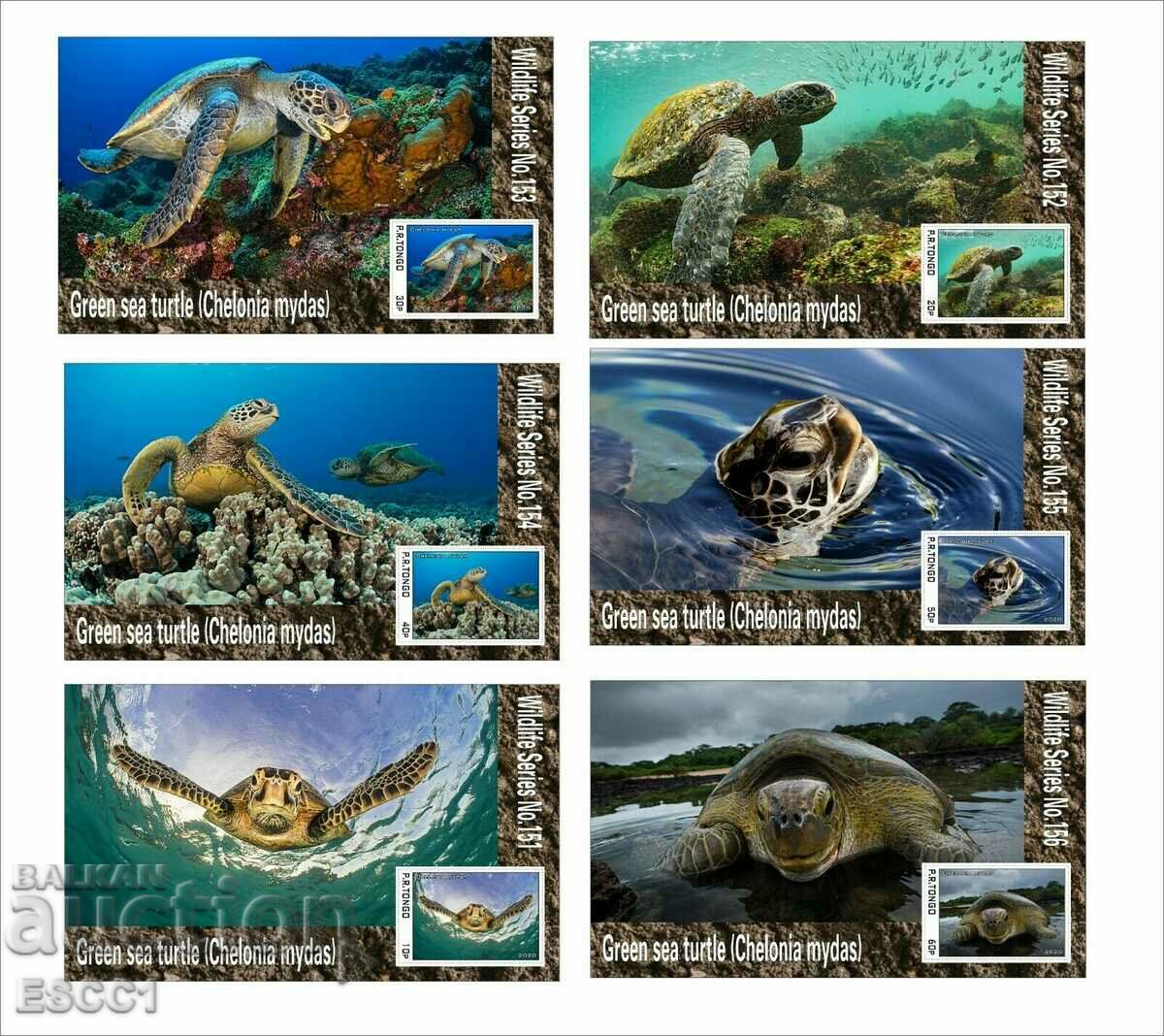 Чисти блокове Фауна Зелена морска костенурка  2020 от Тонго