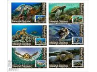Clean Blocks Fauna Green Sea Turtle 2020 by Tongo