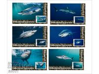Чисти блокове Фауна Акула Мако  2020 от Тонго