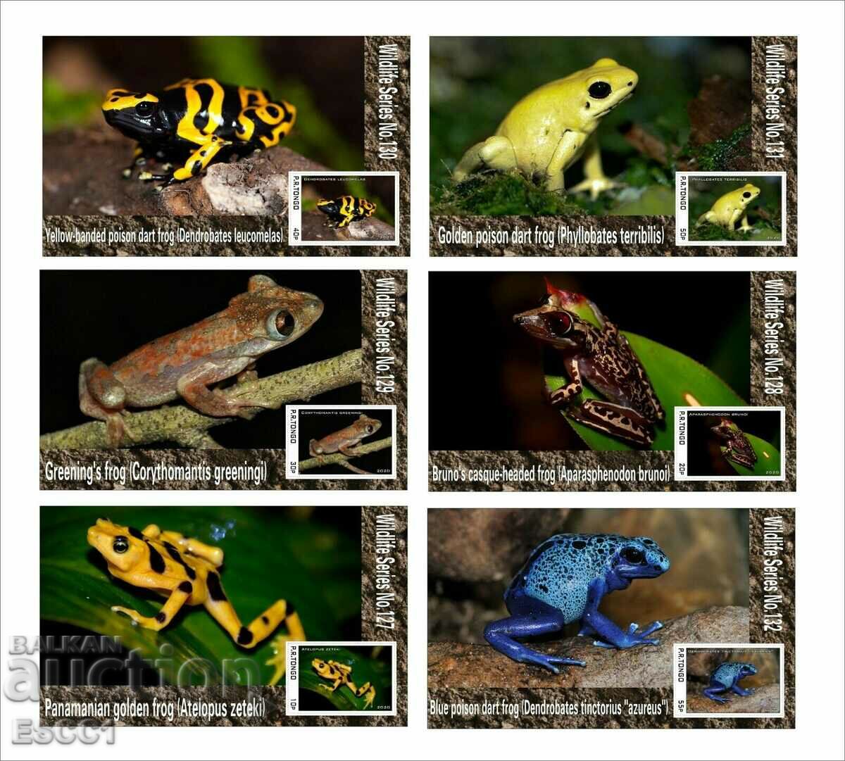 Clean Blocks Fauna Poison Frogs 2020 by Tongo with price 60.00 BGN | € 30.68 Clean Blocks Fauna Poison Frogs 2020 by Tongo with price 60.00 BGN | € 30.68