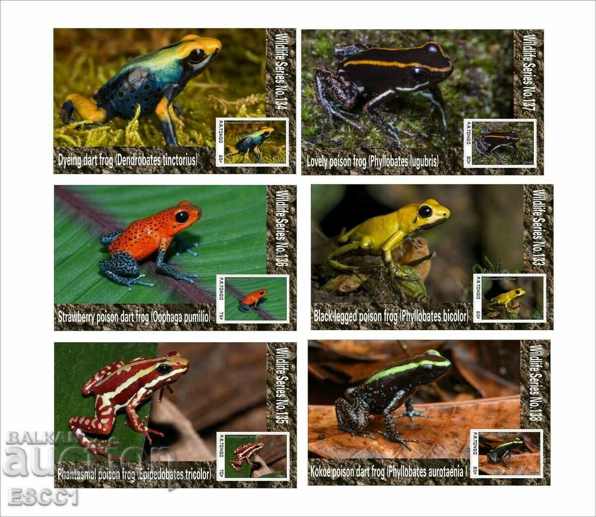 Clean Blocks Fauna Poison Frogs 2020 by Tongo