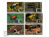 Clean Blocks Fauna Poison Frogs 2020 de Tongo