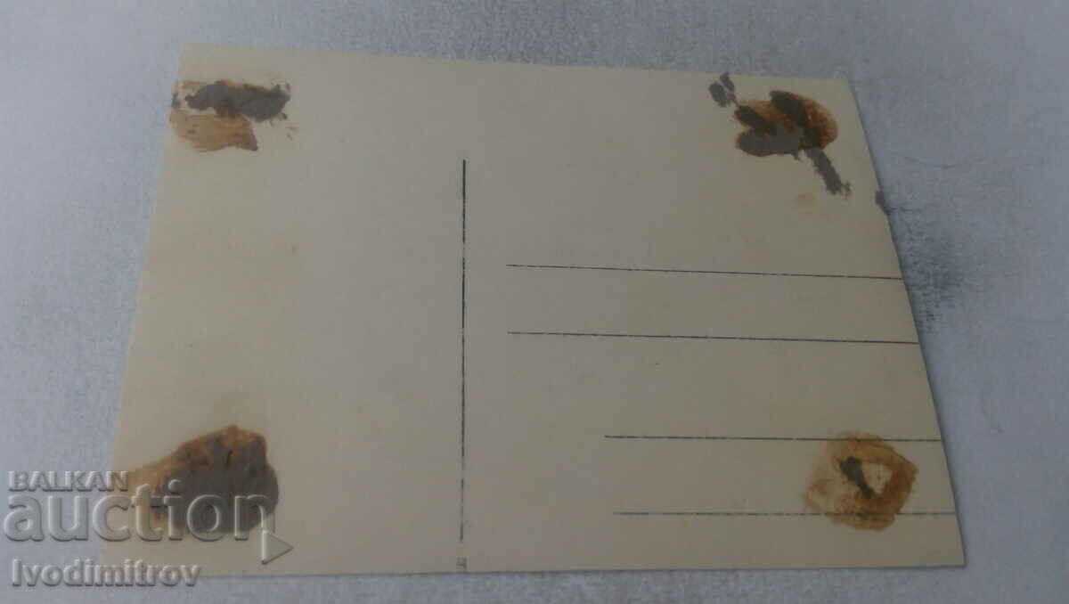 Fotografie Tineri și femei pe vârful unui munte cu preț 1.65 BGN | € 0.84 Fotografie Tineri și femei pe vârful unui munte cu preț 1.65 BGN | € 0.84