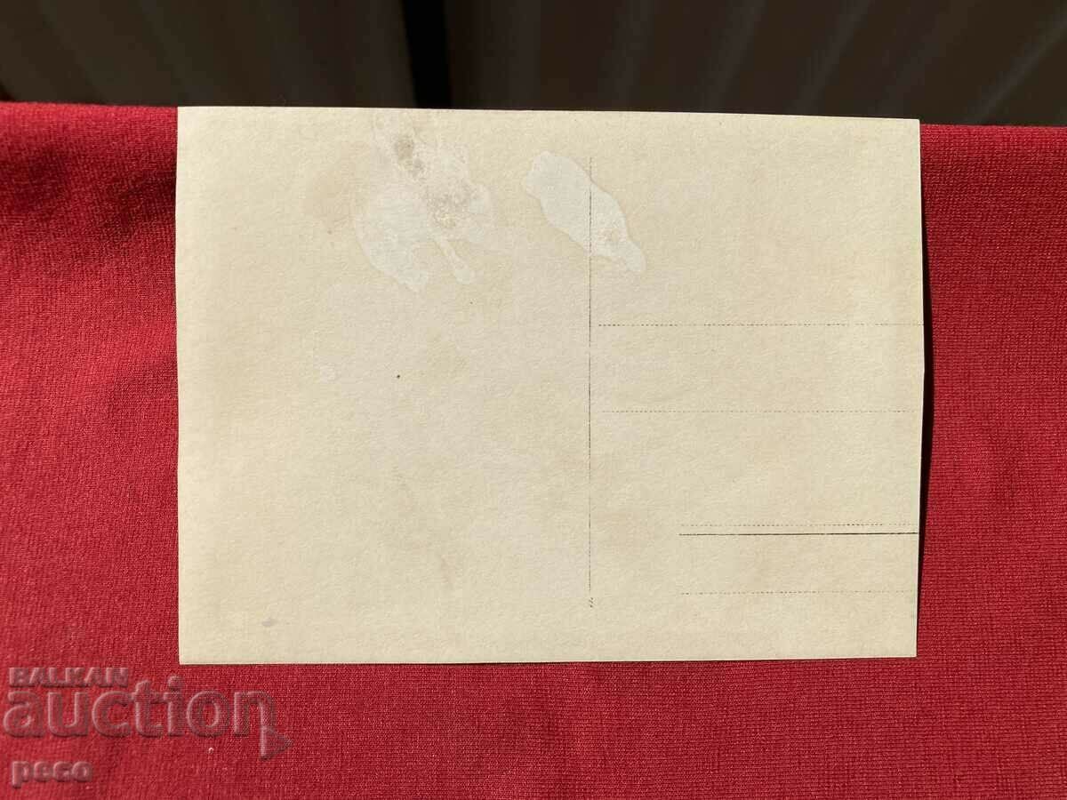 Costumes from the village of Krapets / Sofia / Deleted "On agitation in the village" - 6