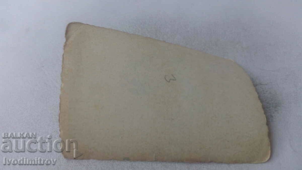 Φωτογραφία Νεολαία στην κορυφή με τιμή 1.35 BGN | € 0.69 Φωτογραφία Νεολαία στην κορυφή με τιμή 1.35 BGN | € 0.69