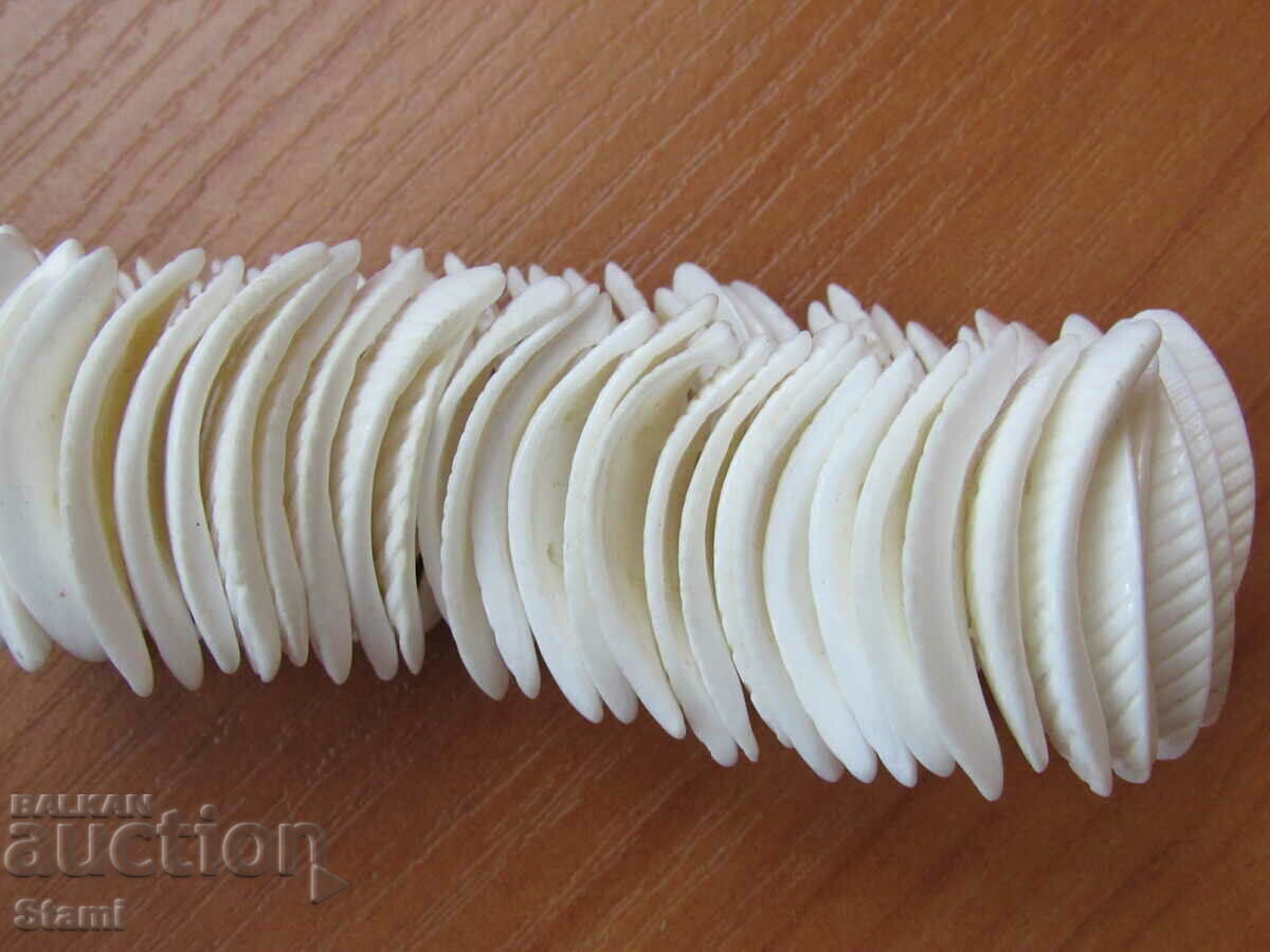 Livrarea Bratara cu scoici de mare, elastic