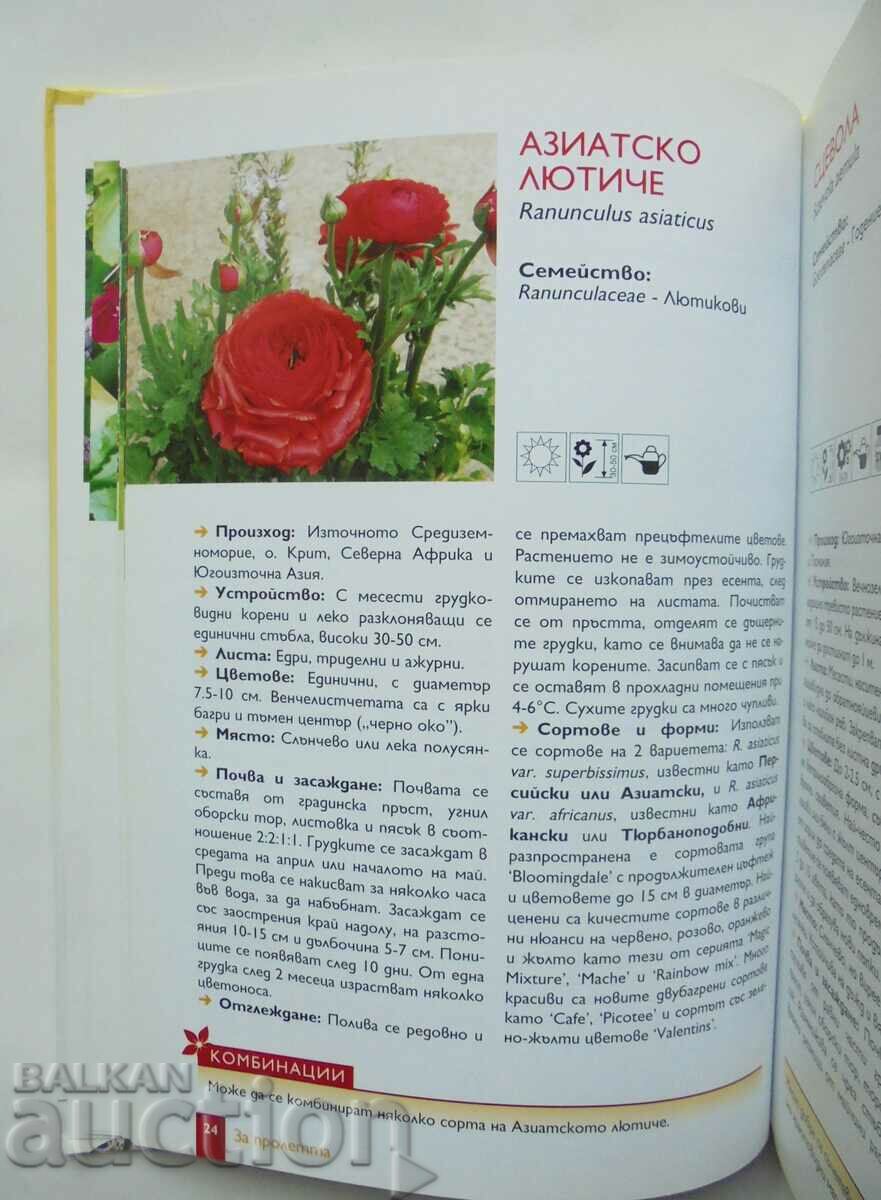 Auction Balcony flowers. Part 2 Anelia Pencheva and others. 2010 Auction Balcony flowers. Part 2 Anelia Pencheva and others. 2010