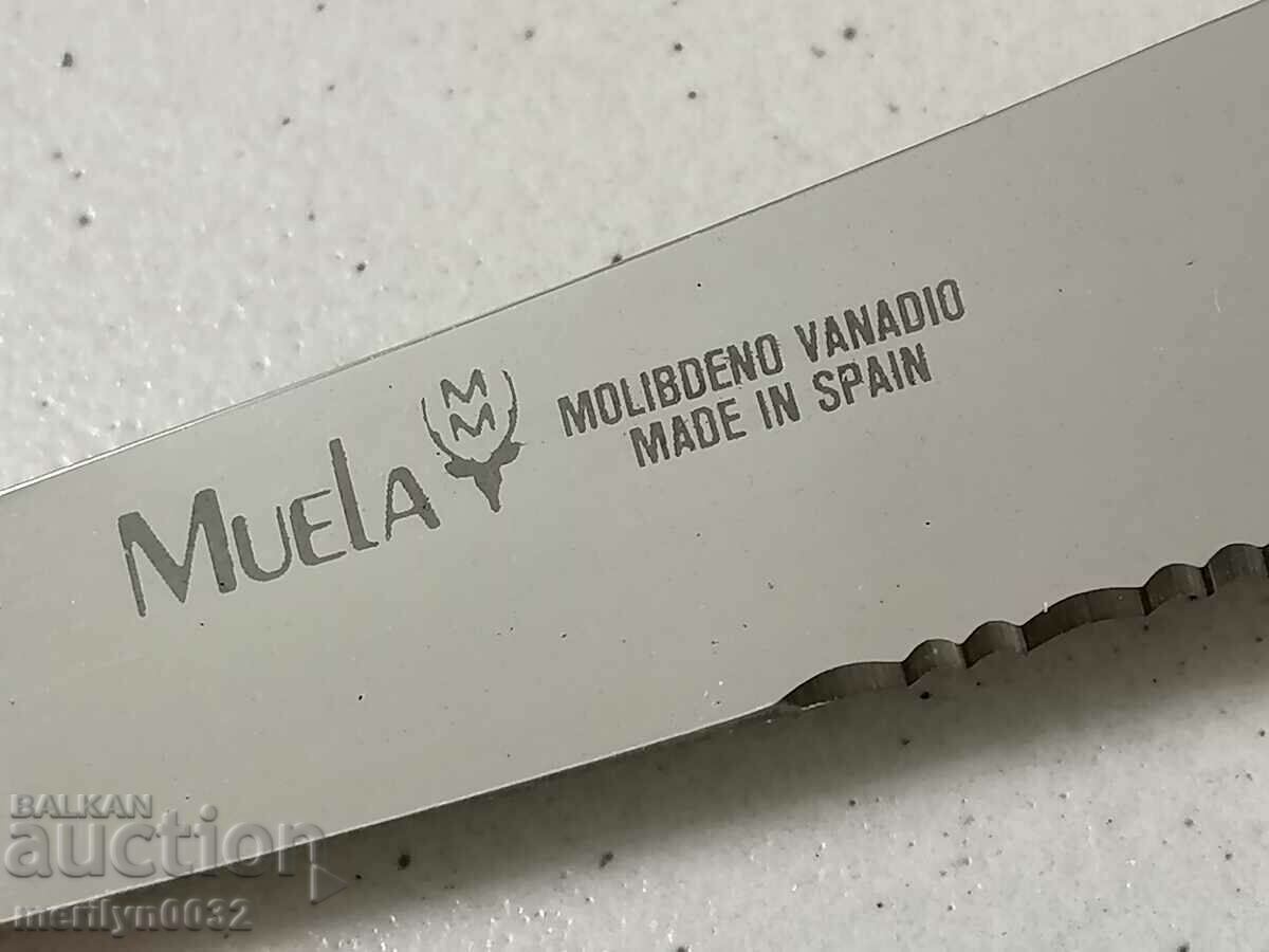 MUELA Spanish hunting knife with cania deer antler handle - 6 MUELA Spanish hunting knife with cania deer antler handle - 6