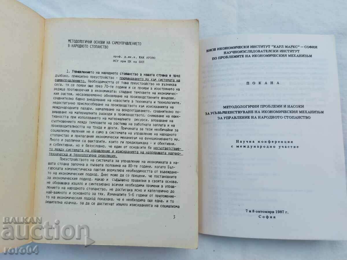 Auction  METHODOLOGICAL ISSUES AND GUIDELINES - RRR