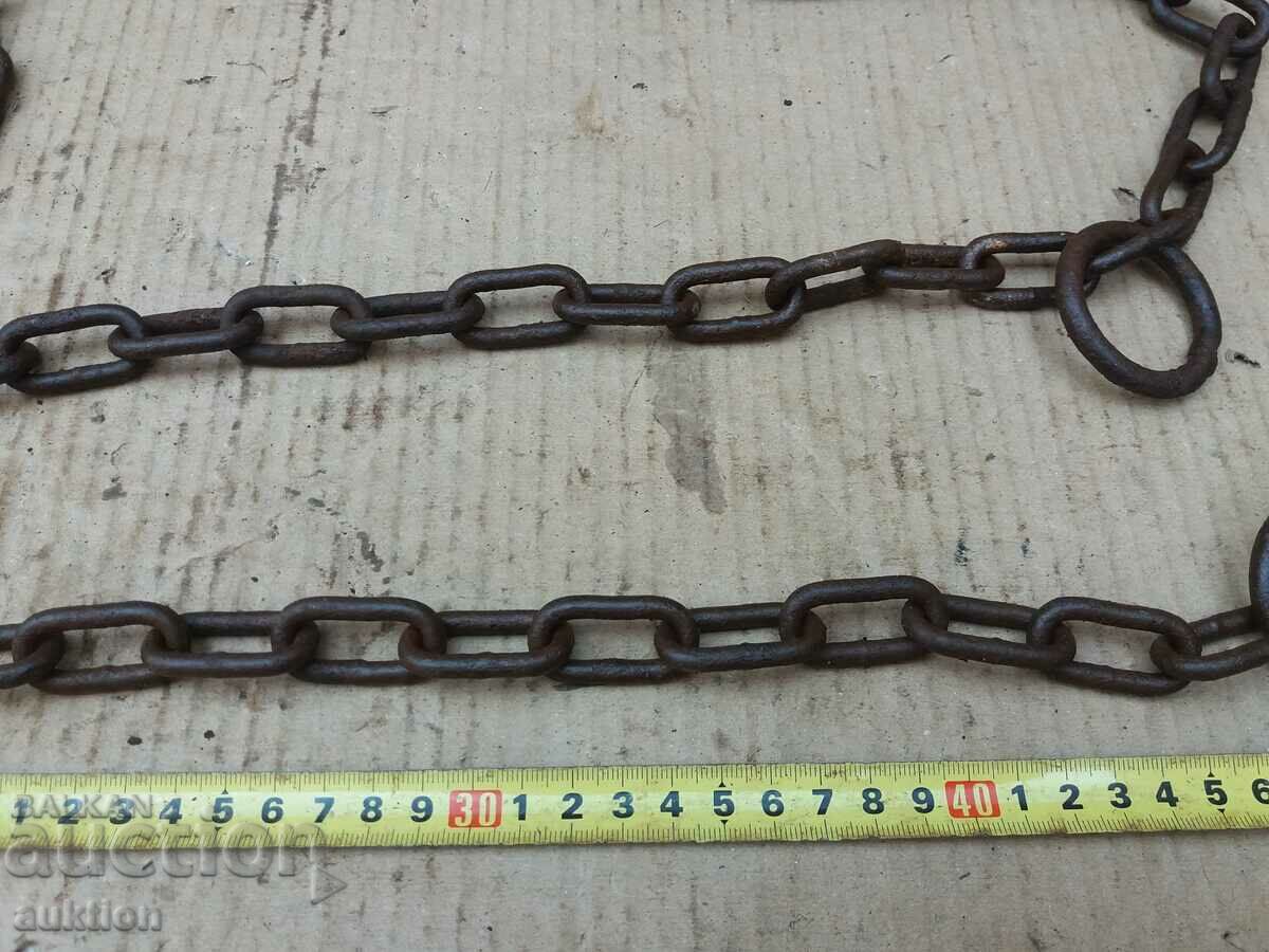 MASSIVE CHAIN, ANIMAL SHACK - 5 MASSIVE CHAIN, ANIMAL SHACK - 5