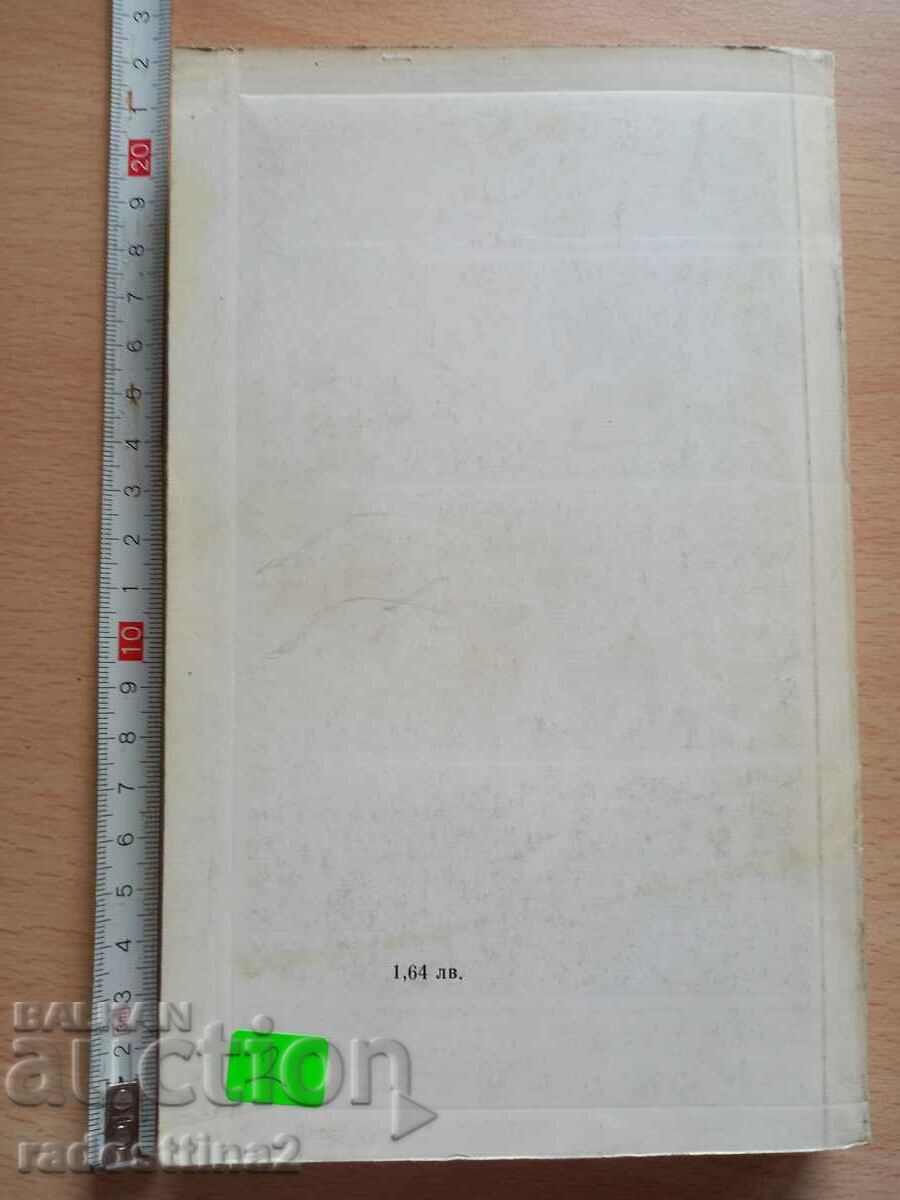 Studs Turkle talking to himself with price 1.99 BGN | € 1.02 Studs Turkle talking to himself with price 1.99 BGN | € 1.02