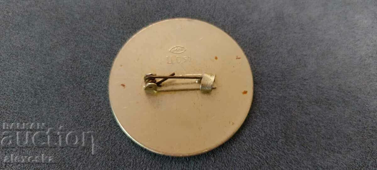 Auction Badge - "Well Guess" Auction Badge - "Well Guess"