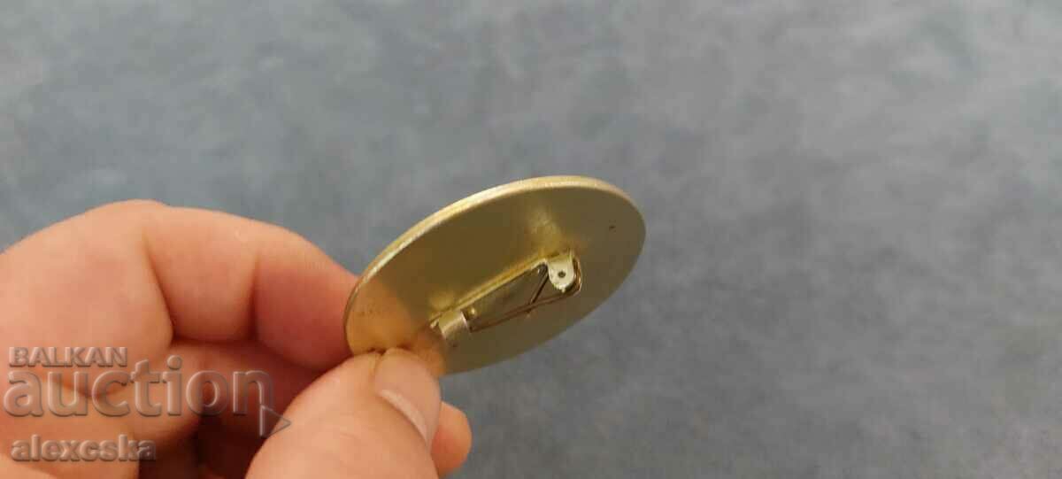 Badge - "Well Guess" - 6 Badge - "Well Guess" - 6