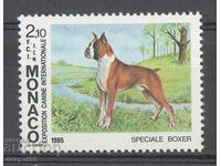1985. Μονακό. Διεθνής Έκθεση Σκύλων, Μόντε Κάρλο.