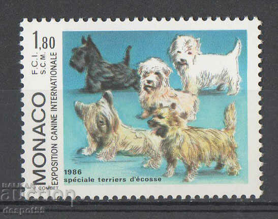 1986. Μονακό. Διεθνής Έκθεση Σκύλων, Μόντε Κάρλο.