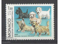 1986. Μονακό. Διεθνής Έκθεση Σκύλων, Μόντε Κάρλο.