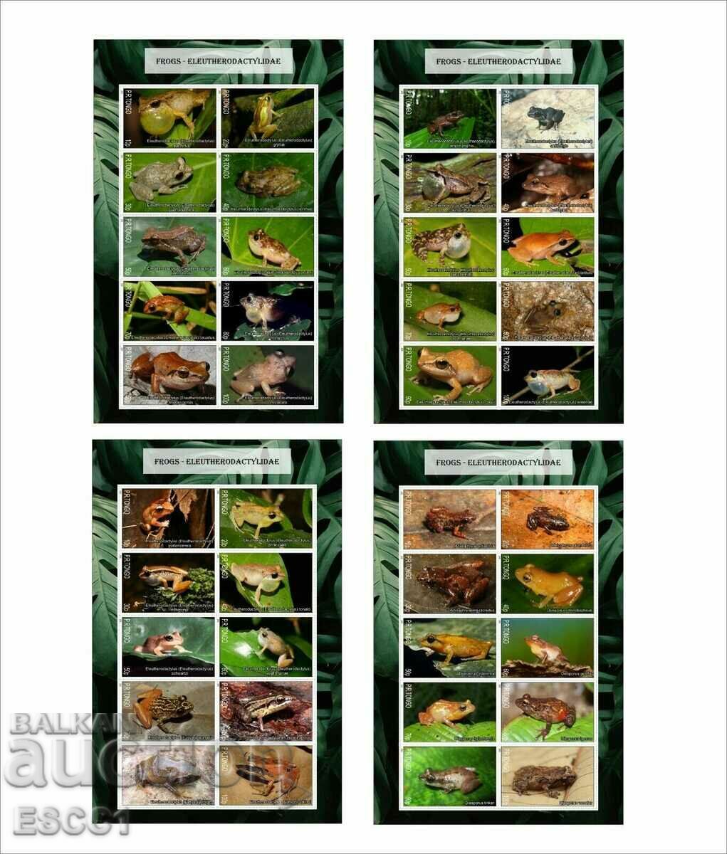 Clear Blocks Fauna Rain Frogs 2020 from Tongo with price 40.00 BGN | € 20.45