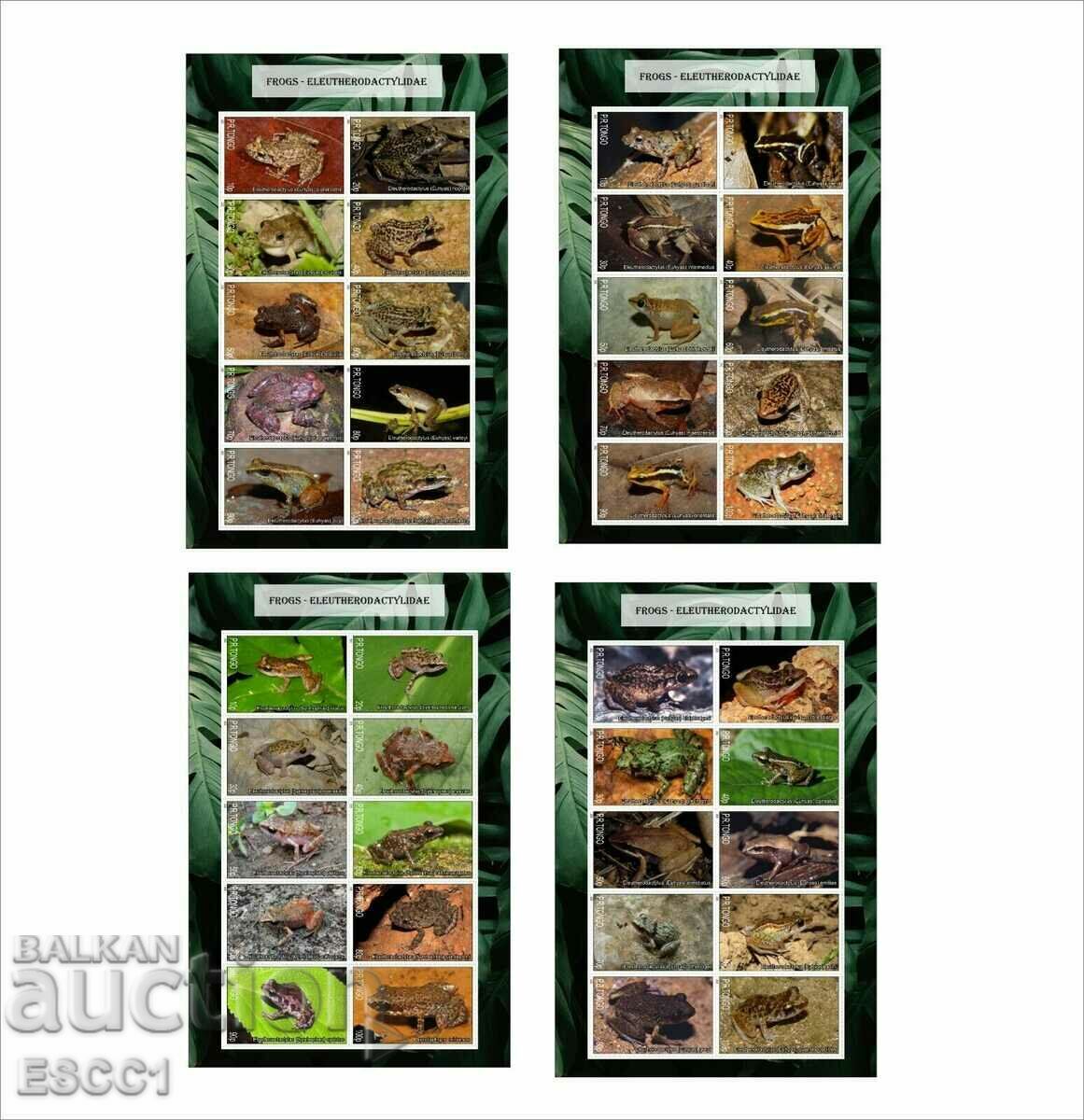 Clear Blocks Fauna Rain Frogs 2020 from Tongo