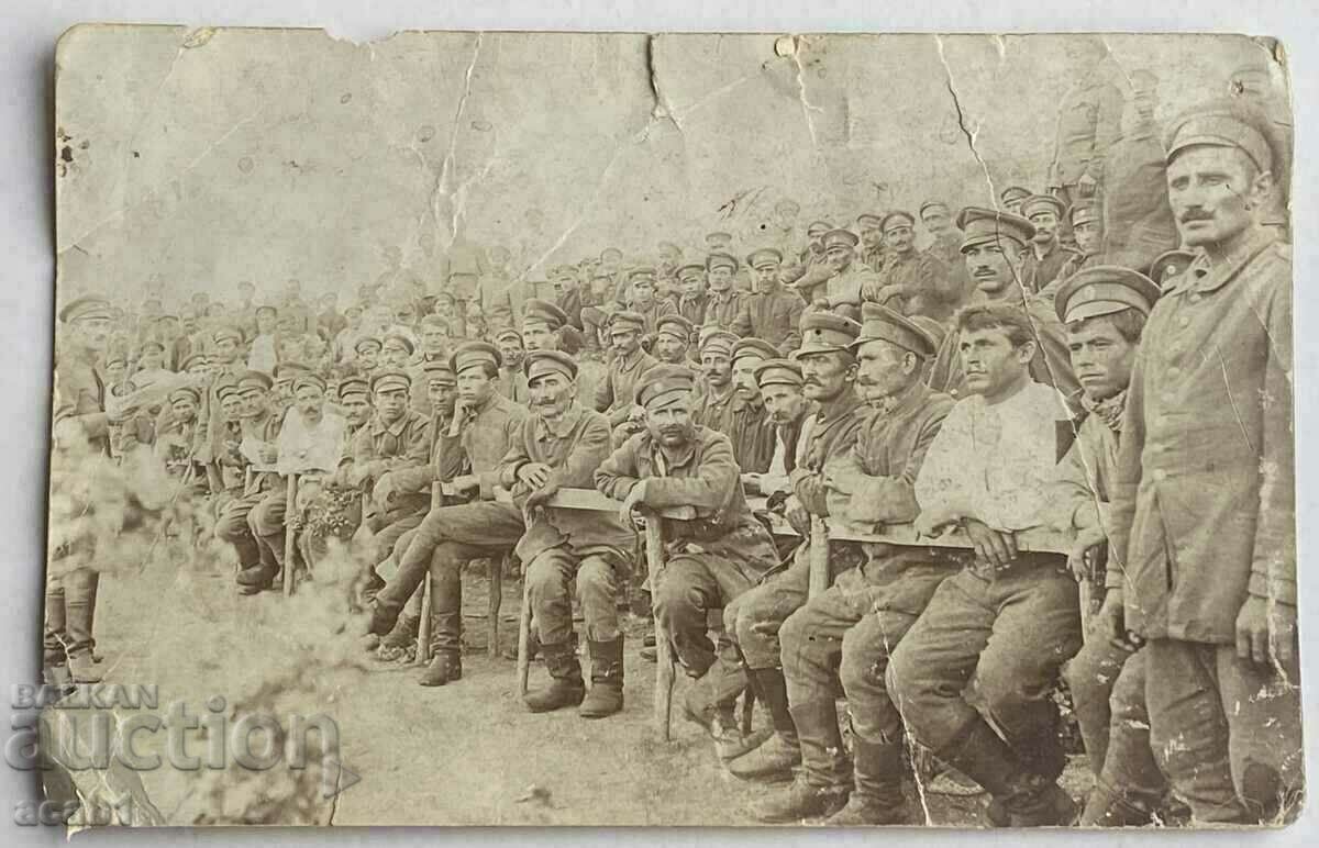 Licitație Fotografii militare PSV Licitație Fotografii militare PSV