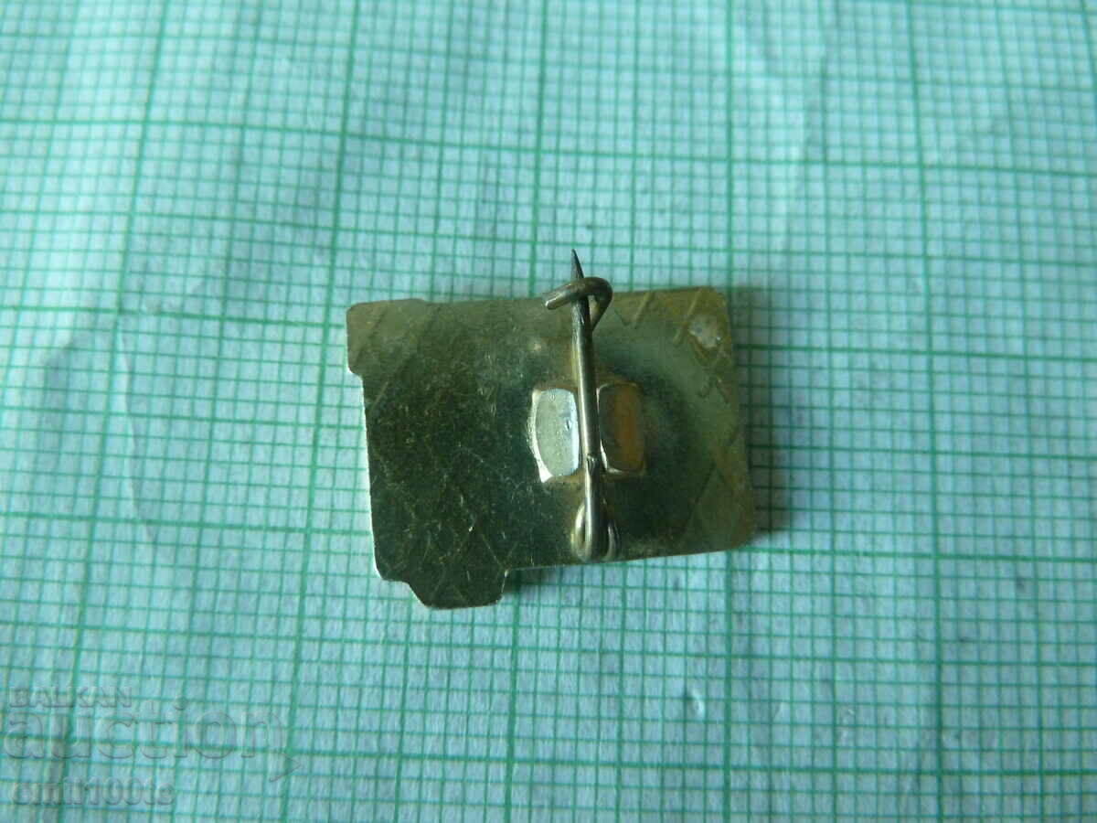 Licitație Insigna - Turist NRB BTS Licitație Insigna - Turist NRB BTS