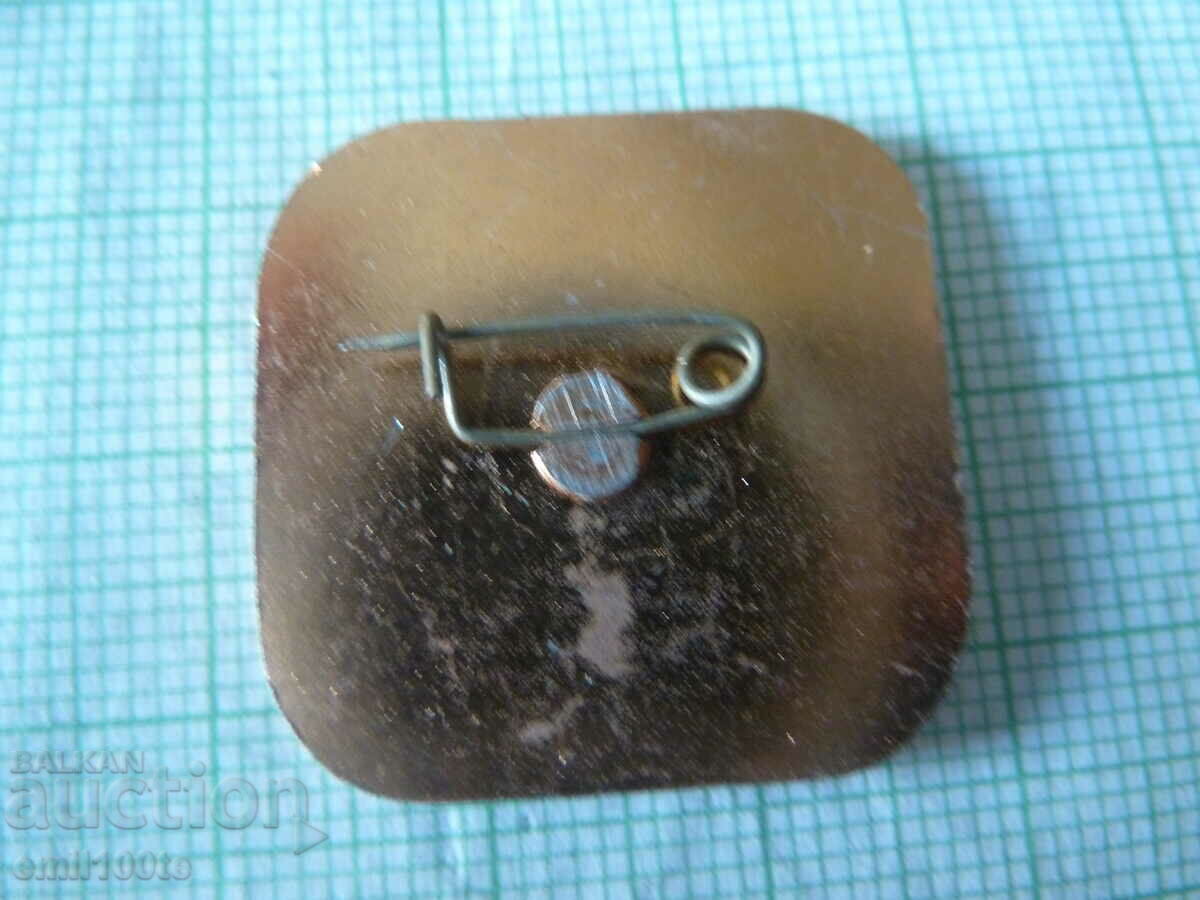 Auction Badge - 25 years of International Tourism Auction Badge - 25 years of International Tourism