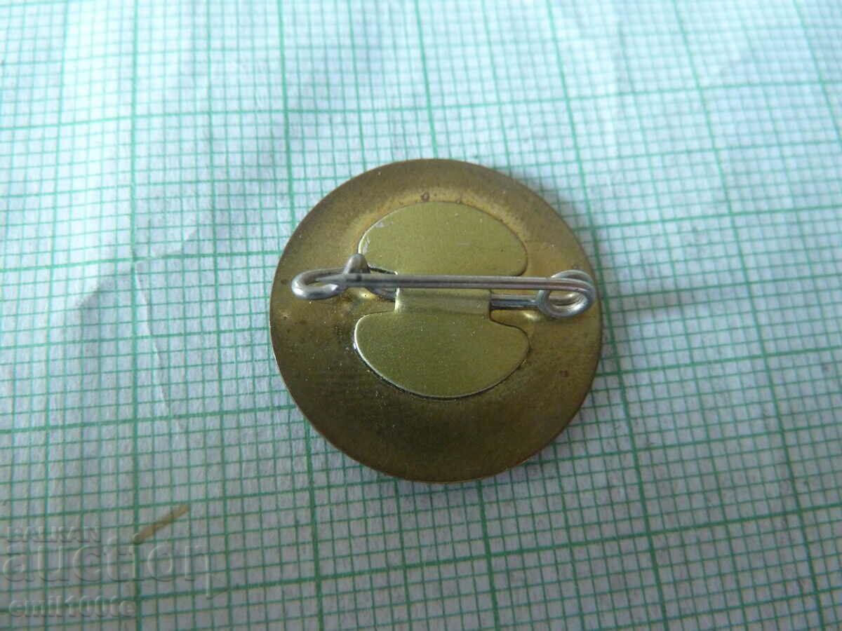 Licitație Insigna - Apostolova Gora Karlovo Licitație Insigna - Apostolova Gora Karlovo