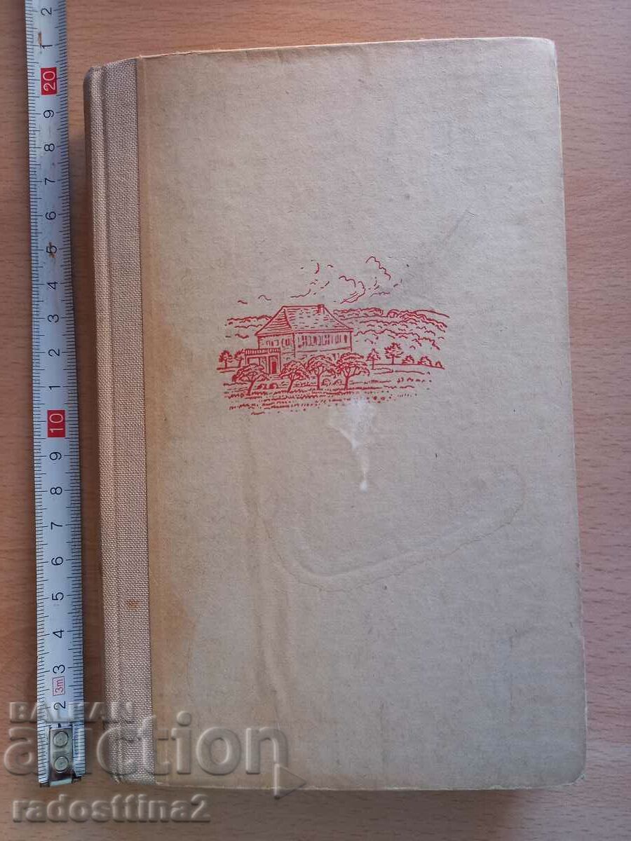 Die Mädchen vom Gonnenberg Hedwig Enrich