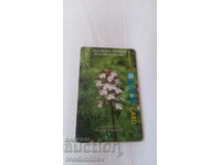 Κάρτα ήχου BETKOM Βουλγαρικές ορχιδέες Lady Orchid Orchis Purpur