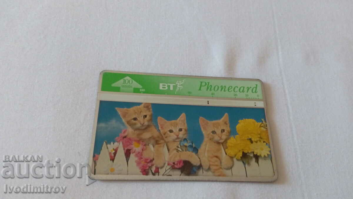 Κάρτα ήχου British Telecom 100 μονάδες Τρία μικρά γατάκια