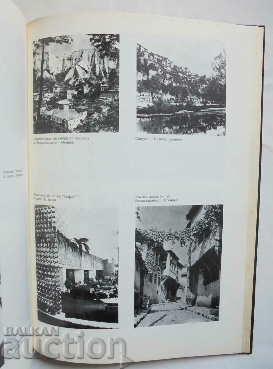 Auction The Social Function of Architecture - Alexander Obretenov Auction The Social Function of Architecture - Alexander Obretenov