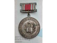 Rare Soc award badge "For excellent success and exemplary conduct